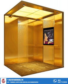 玉林電梯服務全指南 從銷售到維修的一站式解決方案