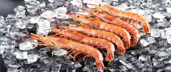科普 | 科學選購冰鮮水產品的技巧