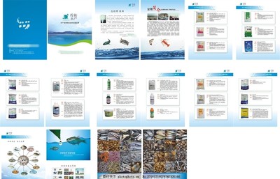 水產畫冊 初級農產品的自然饋贈