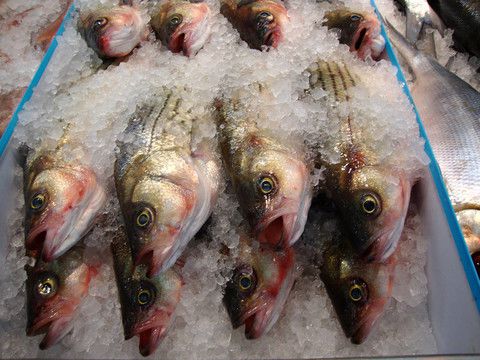 餐桌上的“隱形風險” 這4類魚或對身體有害，再喜歡也請管住嘴