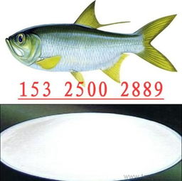 提高魚蝦等水產品采食率的誘食劑價格 廠家 圖片